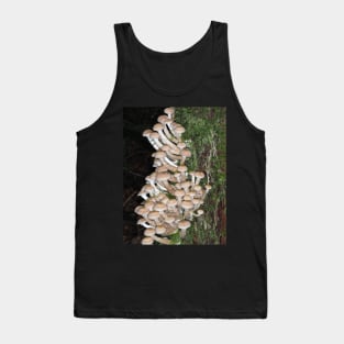 Lots of honey mushrooms (Armillaria sp.) Tank Top